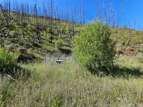 Drummond, MT 59832,80 Upper Packer Gulch RD
