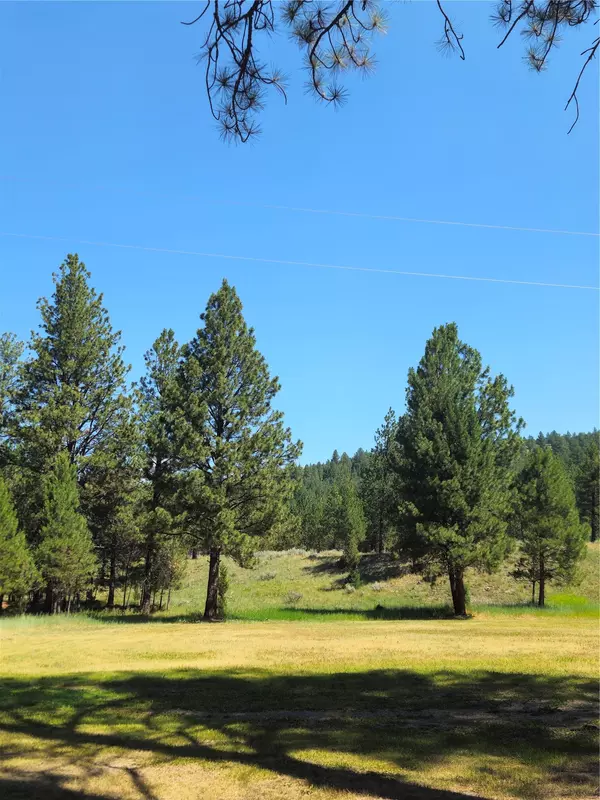 Lincoln, MT 59639,3590 E Mt Highway 200