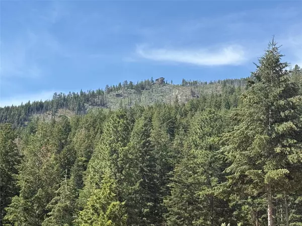 Hamilton, MT 59840,NKN Wyant LN