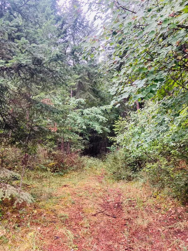 Thompson Falls, MT 59873,93 Wapiti Point DR