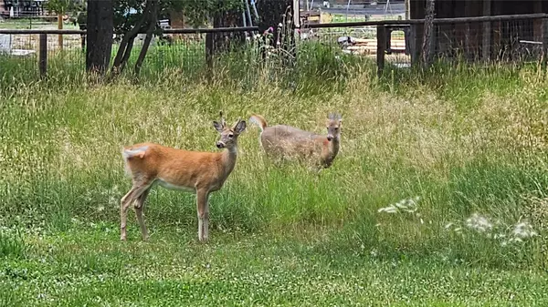 Lincoln, MT 59639,618 D ST