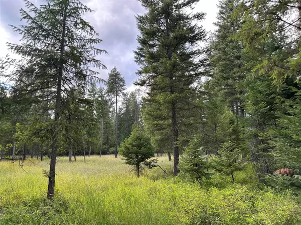 Trout Creek, MT 59874,NHN MT Hwy 200