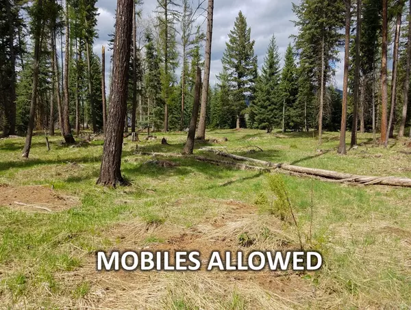 Libby, MT 59923,137 Fallen Bear LN