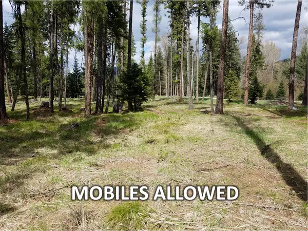 Libby, MT 59923,79 Fallen Bear LN