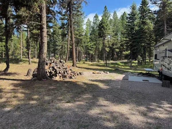 Seeley Lake, MT 59868,231 Buckskin DR