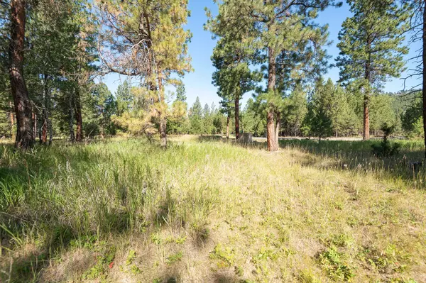 Lincoln, MT 59639,4587 Patterson LOOP