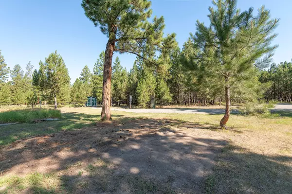 Lincoln, MT 59639,4587 Patterson LOOP