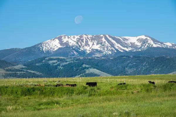 Harrison, MT 59735,164 Pony RD