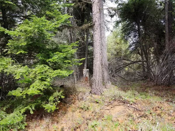 Lakeside, MT 59922,500 Blacktail Heights RD