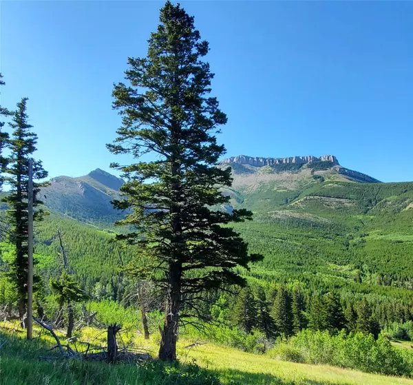 3384 Joslin Creek RD, Augusta, MT 59410