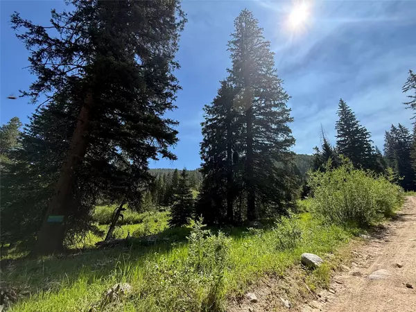 Philipsburg, MT 59858,NHN Belle TRL