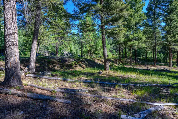 Clancy, MT 59634,Tract A1 Hills Brothers RD