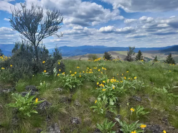 Plains, MT 59859,Lot 5 Yosyrian LN