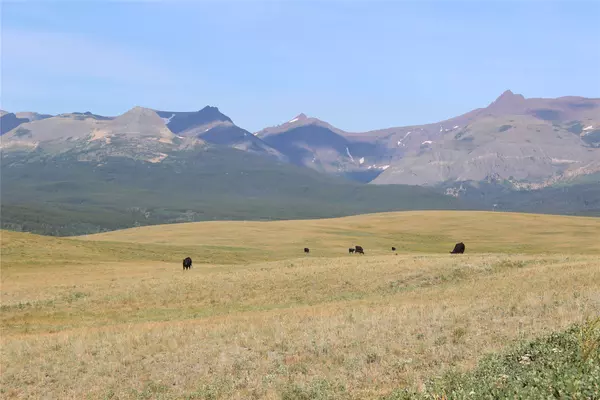 East Glacier Park, MT 59434,NHN US Hwy 2