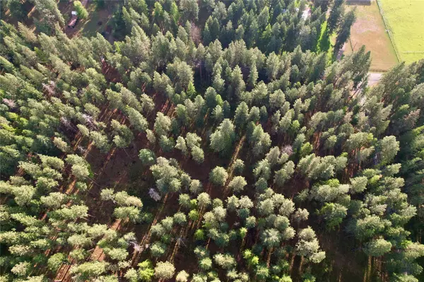 Polson, MT 59860,NHN S Finley Point RD