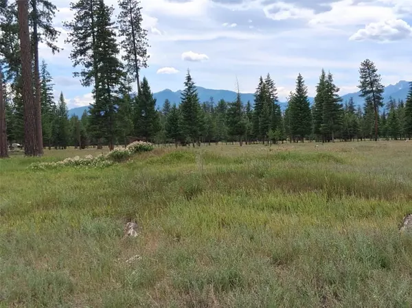 Condon, MT 59826,nhn Hollopeter RD