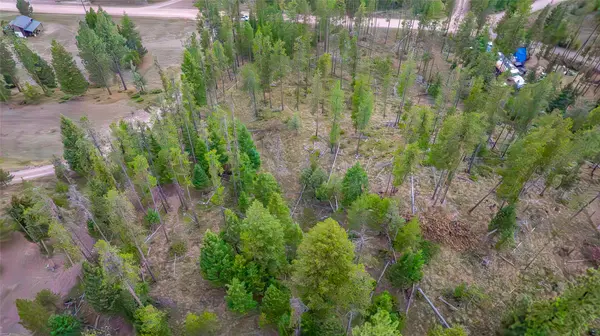 Seeley Lake, MT 59868,NHN N Canyon DR