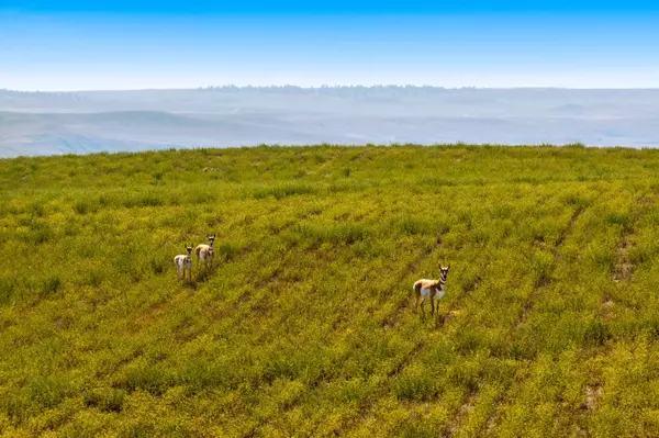 Denton, MT 59430,Lot 3 McGimpsey RD