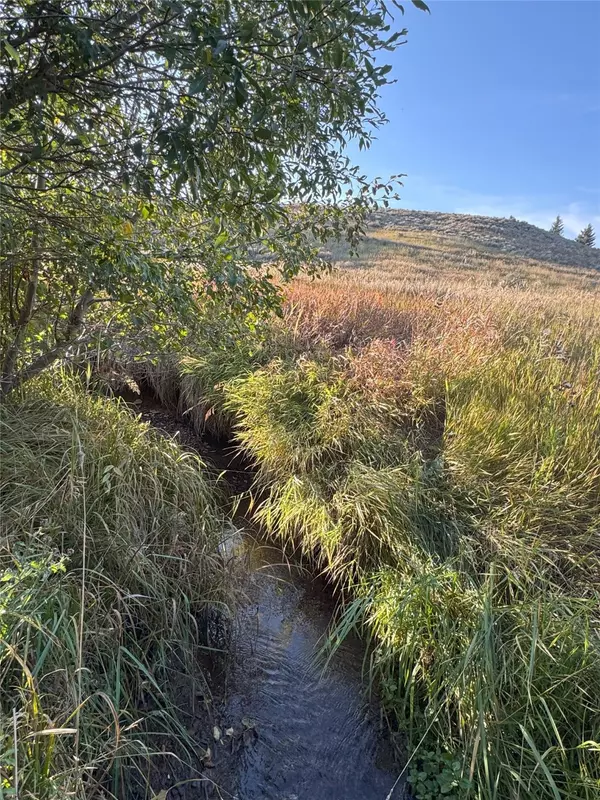 White Sulphur Springs, MT 59645,45 Mountainview TRL