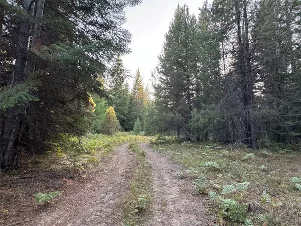 Troy, MT 59935,NHN Chase Cutoff RD