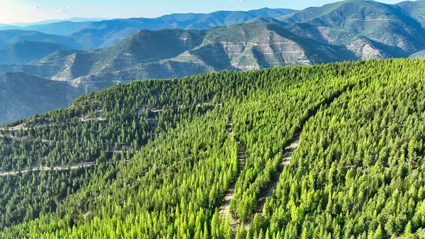 Superior, MT 59872,Nhn Johnson Creek RD