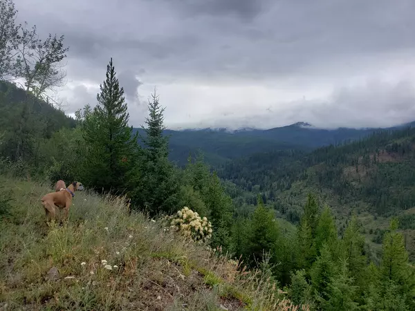 Huson, MT 59846,Lot 15 Nine Mile RD