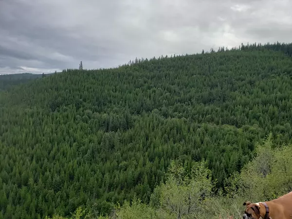 Lot 16 Nine Mile RD, Huson, MT 59846