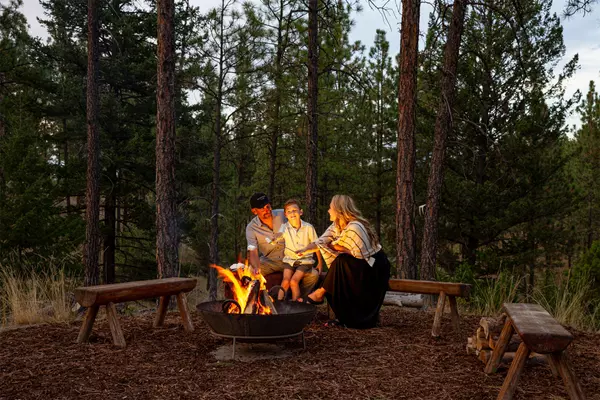 Eureka, MT 59917,66 Cottage Lake LN