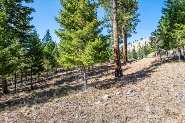 Clinton, MT 59825,Lot 9 Stonefly RD