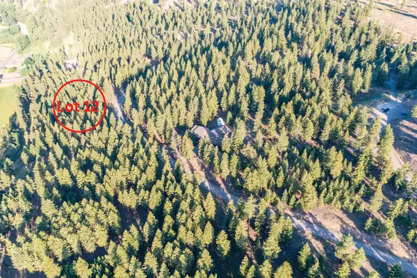 Clinton, MT 59825,Lot 12 Stonefly RD