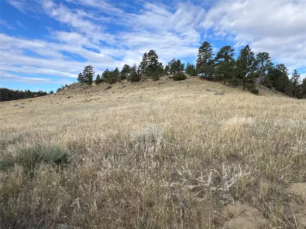 Shawmut, MT 59078,NHN Canyon DR