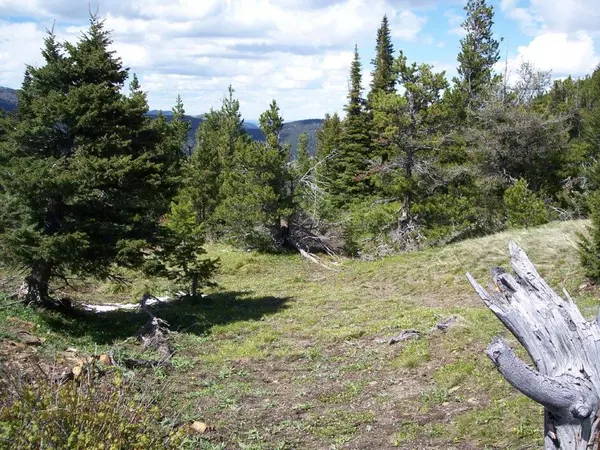 Lincoln, MT 59639,510 Cadotte Creek RD