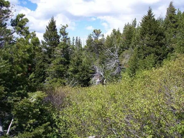 Lincoln, MT 59639,510 Cadotte Creek RD