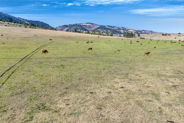 Florence, MT 59833,000 Willow Highlands
