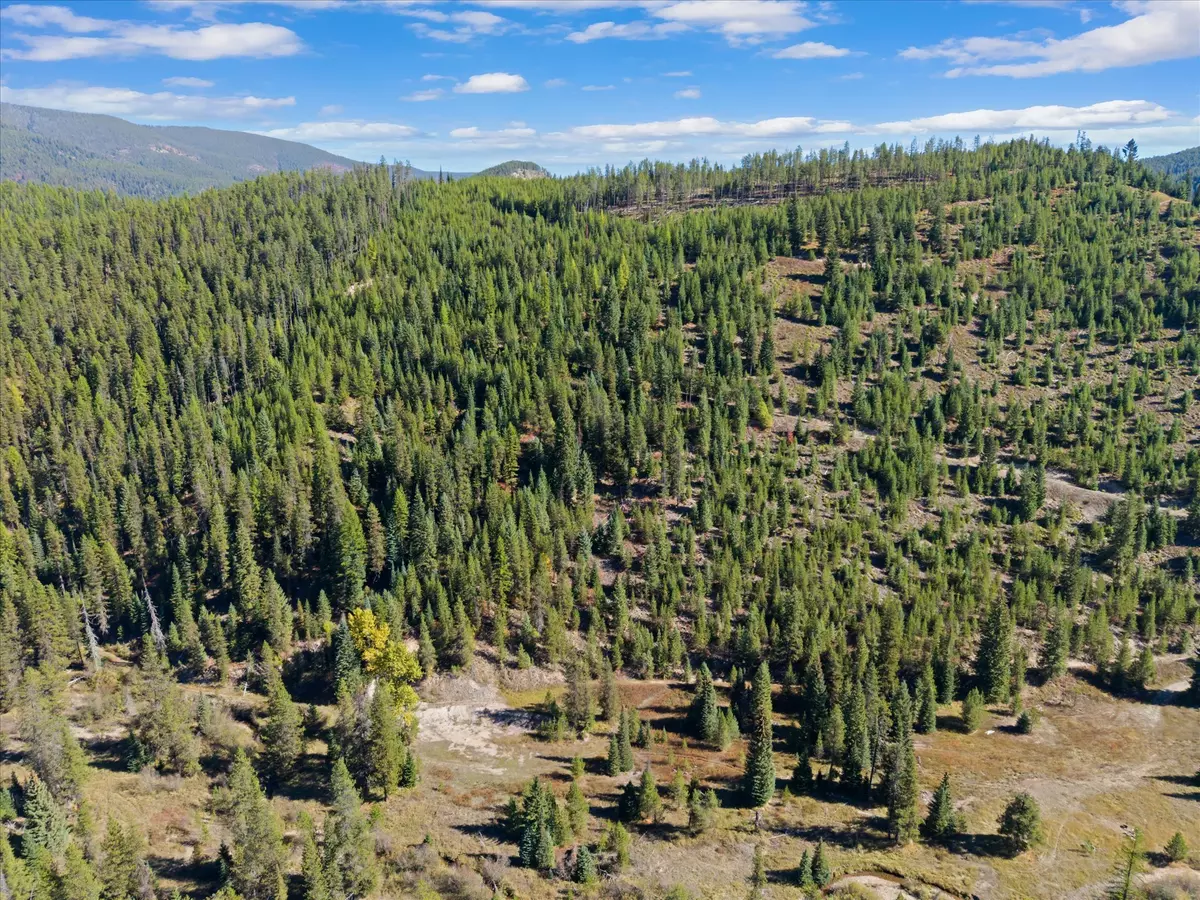 Saltese, MT 59867,NHN Saltese Frontage RD