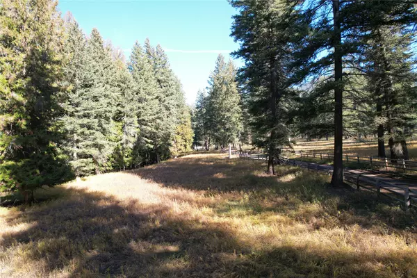 Frenchtown, MT 59834,000 Buckskin LN