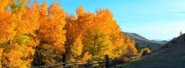 Drummond, MT 59832,187 Edwards Gulch RD