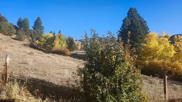 Drummond, MT 59832,187 Edwards Gulch RD