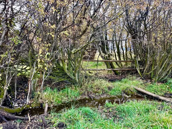 East Helena, MT 59635,TBD Jimmy Green RD