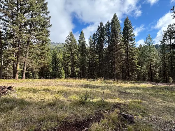 Seeley Lake, MT 59868,250 Summit DR