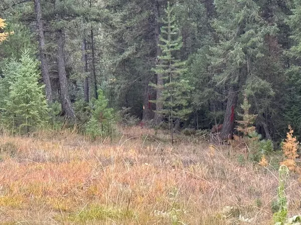 NHN Glen Lake RD, Eureka, MT 59917