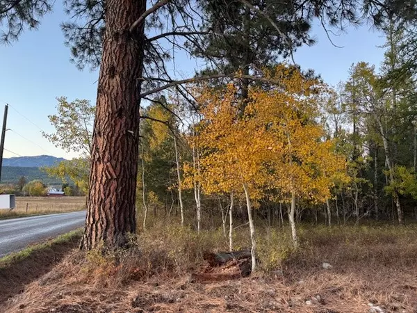 Whitefish, MT 59937,573 Armory RD