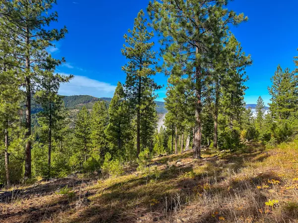 Plains, MT 59859,Nhn Pats Knob RD