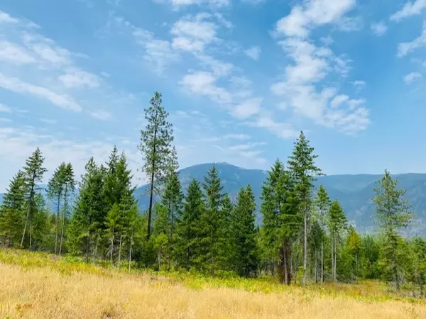 Heron, MT 59844,Nhn Creek View LN