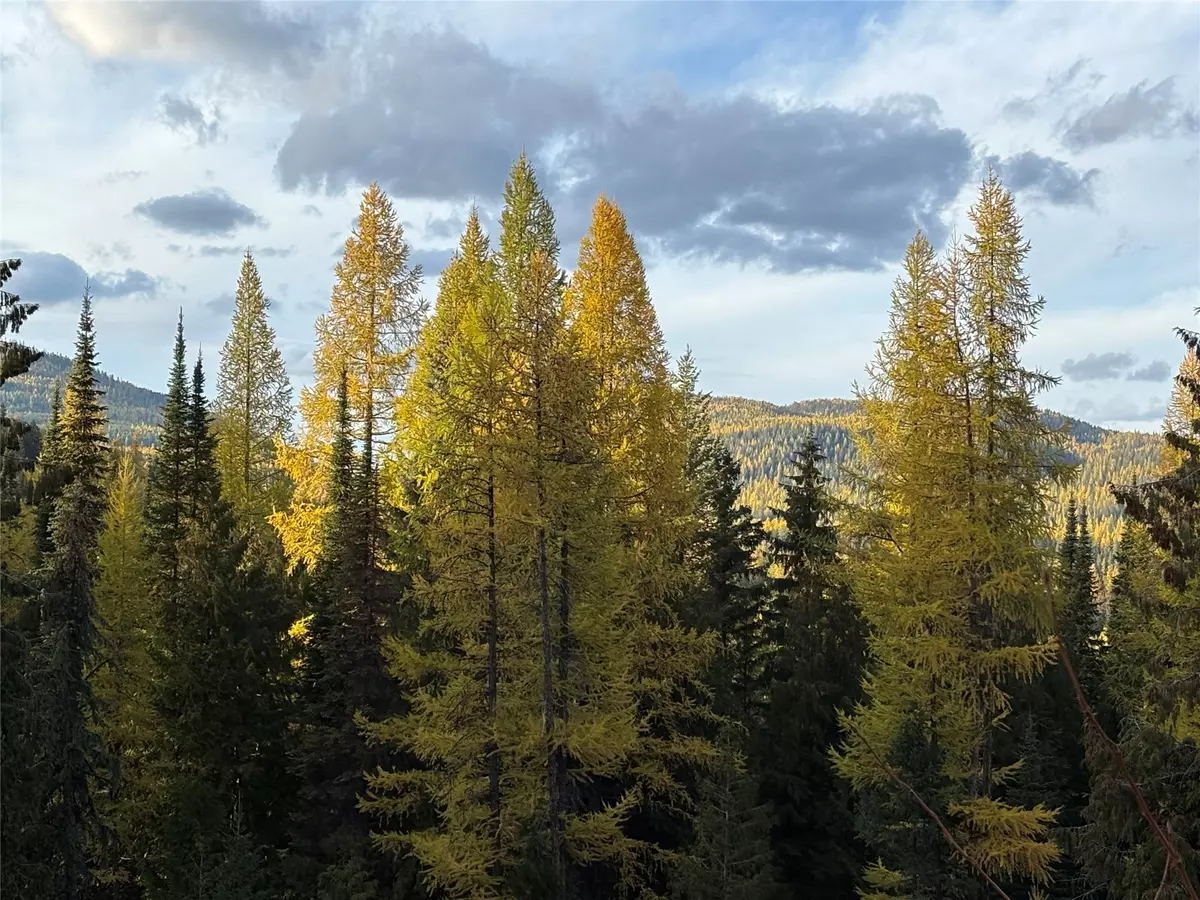 Trego, MT 59934,1089 Cedar Hills RD