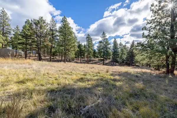 Clancy, MT 59634,TBD Lump Gulch RD