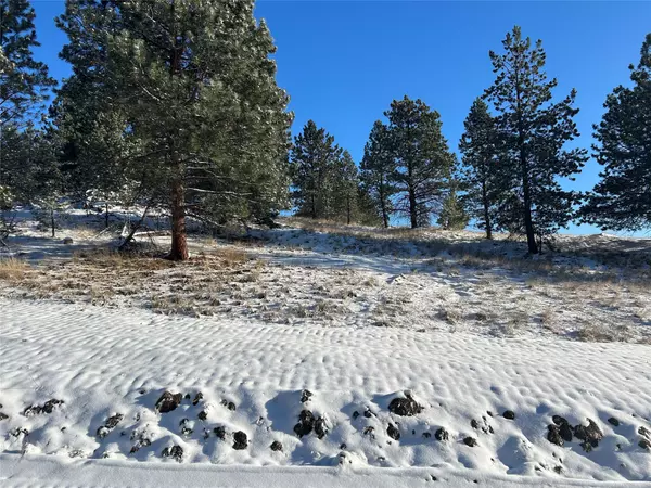 Jefferson City, MT 59638,87 Meadowlark Trail