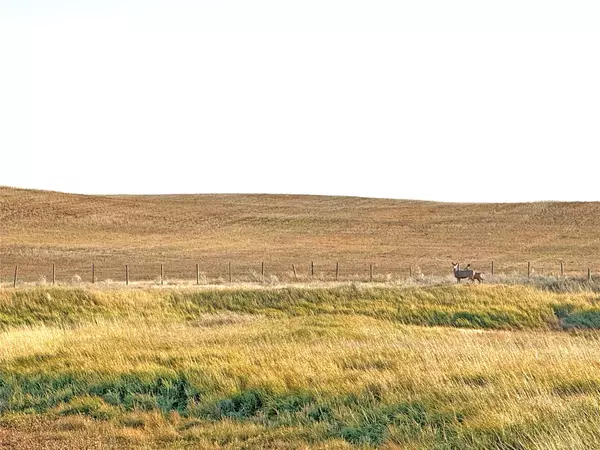 Chester, MT 59522,2699 Whitlash RD