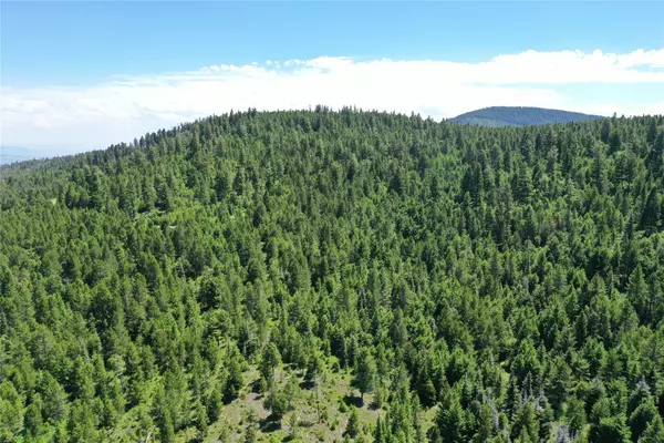 Drummond, MT 59832,14 Tract, Garnet Range