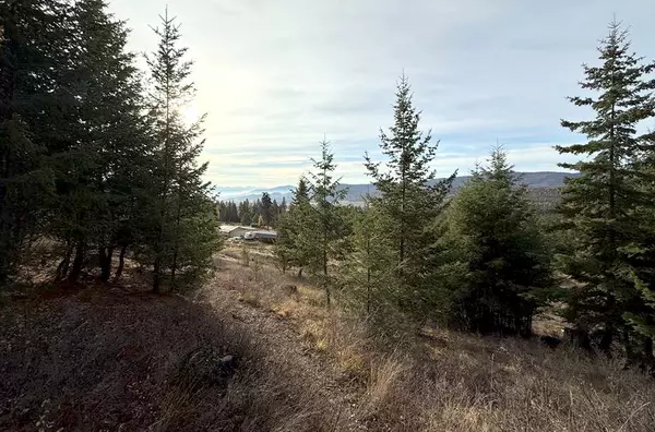 Proctor, MT 59929,19649 Golden Pine LN